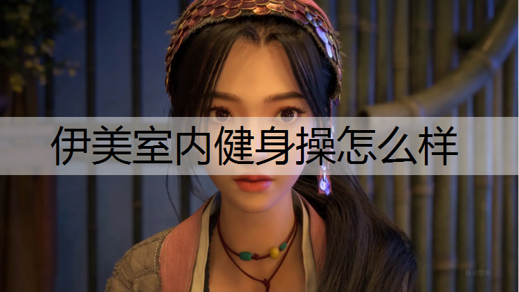 伊美室内健身操怎么样