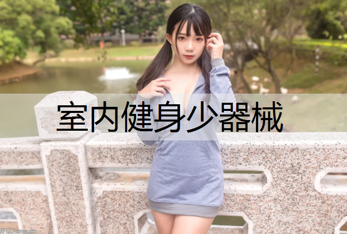 室内健身少器械