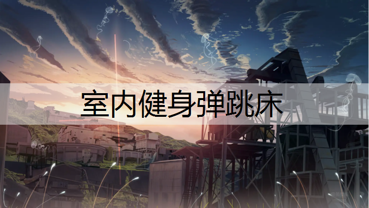 室内健身弹跳床