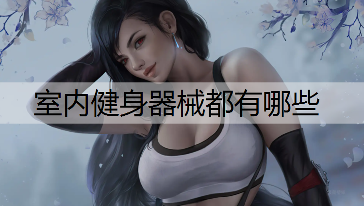 <strong>室内健身器械都有哪些</strong>