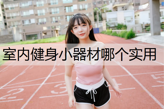 室内健身小器材哪个实用
