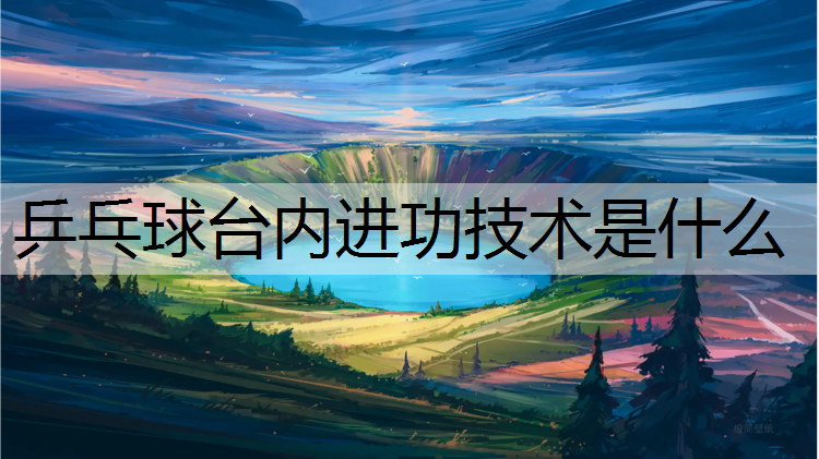 乒乓球台内进功技术是什么