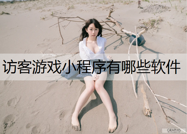 访客游戏小程序有哪些软件