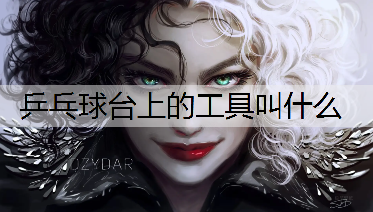乒乓球台上的工具叫什么