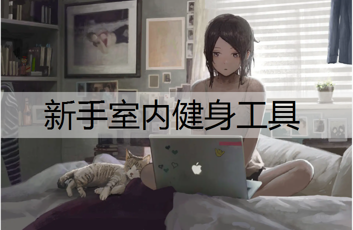 新手室内健身工具