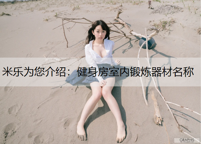 米乐为您介绍：健身房室内锻炼器材名称