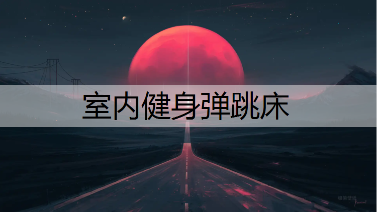 室内健身弹跳床