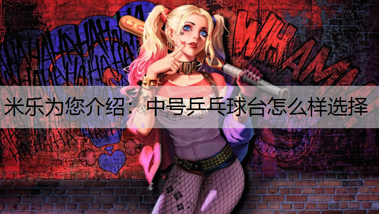 中号乒乓球台怎么样选择