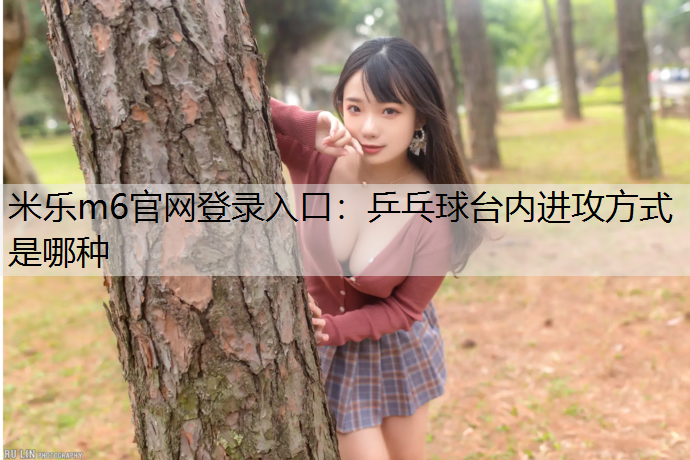 乒乓球台内进攻方式是哪种