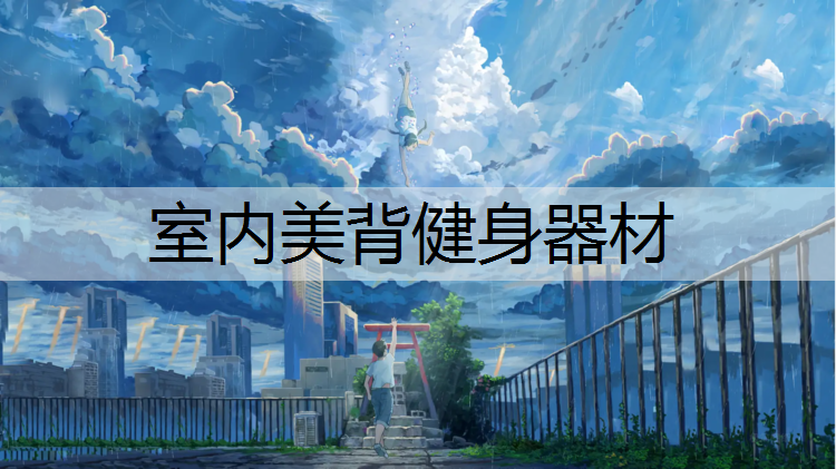 室内美背健身器材